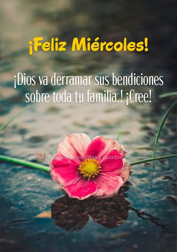 Deus vai derramar suas bênçãos sobre toda sua família. Acredite!  Feliz Quarta-feira! 