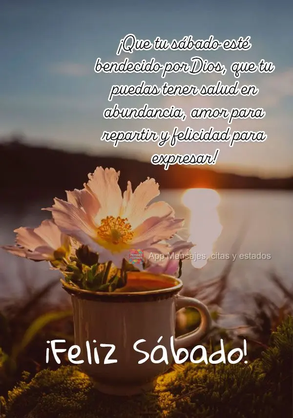 ¡Que tu sábado esté bendecido por Dios, que tu puedas tener salud en abundancia, amor para repartir y felicidad para expresar! ¡Feliz Sábado!
