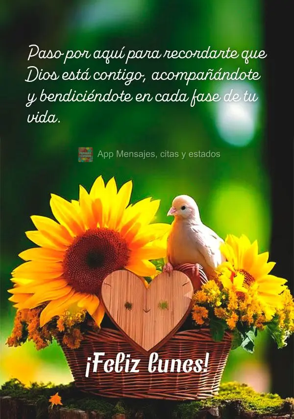 Paso por aquí para recordarte que Dios está contigo, acompañándote y bendiciéndote en cada fase de tu vida. ¡Feliz lunes!