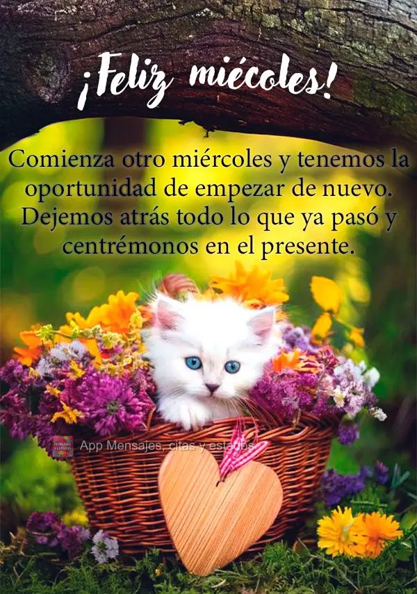 Comienza otro miércoles y tenemos la oportunidad de empezar de nuevo. Dejemos atrás todo lo que ya pasó y centrémonos en el presente. ¡Feliz miécol...