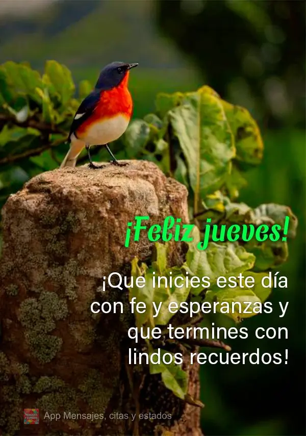 ¡Que inicies este día con fe y esperanzas y que termines con lindos recuerdos! ¡Feliz jueves!