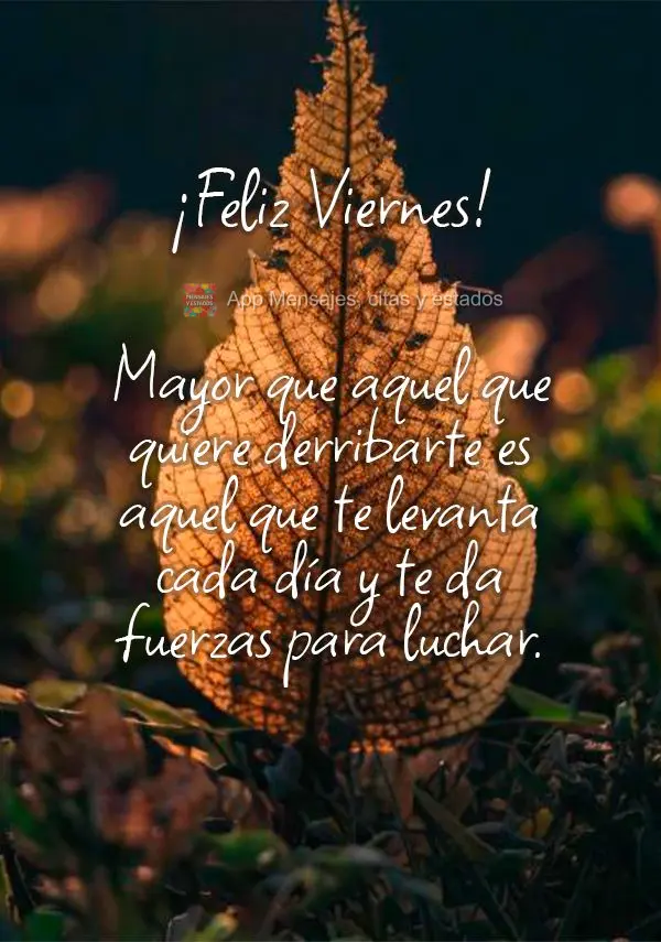 Mayor que aquel que quiere derribarte es aquel que te levanta cada día y te da fuerzas para luchar. ¡Feliz viernes