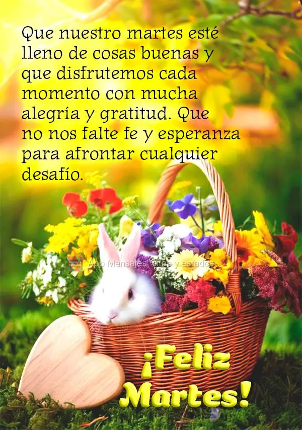 Que nuestro martes esté lleno de cosas buenas y que disfrutemos cada momento con mucha alegría y gratitud. Que no nos falte fe y esperanza para afronta...