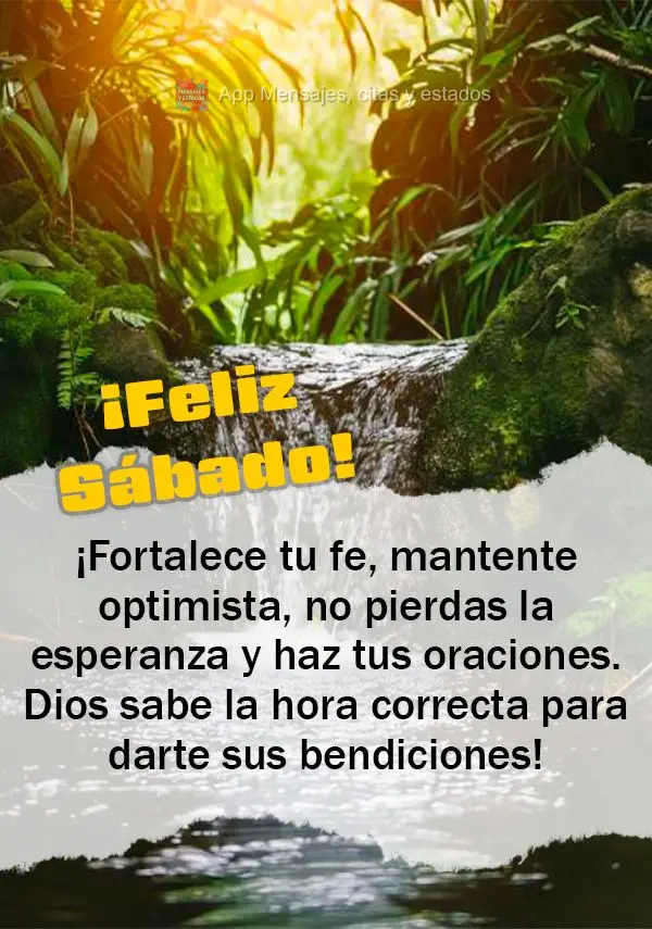 ¡Fortalece tu fe, mantente optimista, no pierdas la esperanza y haz tus oraciones. Dios sabe la hora correcta para darte sus bendiciones! ¡Feliz Sábad...