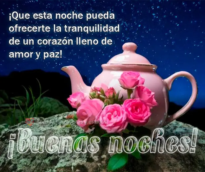 Que esta noite possa te oferecer a tranquilidade de um coração cheio de amor e paz! Boa noite!