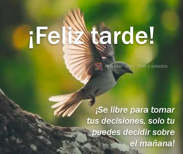 Seja livre para fazer as suas escolhas, apenas você pode decidir o dia de amanhã! Boa tarde!