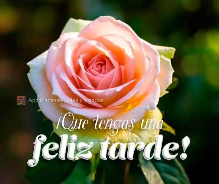 Tenha uma Boa tarde!