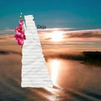 Deixa Deus cuidar das suas dores, mantenha seu coração sempre motivado, não perca a sua fé, lute pelo seus sonhos e não esqueça de agradecer todos ...