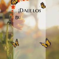 Dê Bom dia para a vida e ela lhe trará muito motivos para viver!