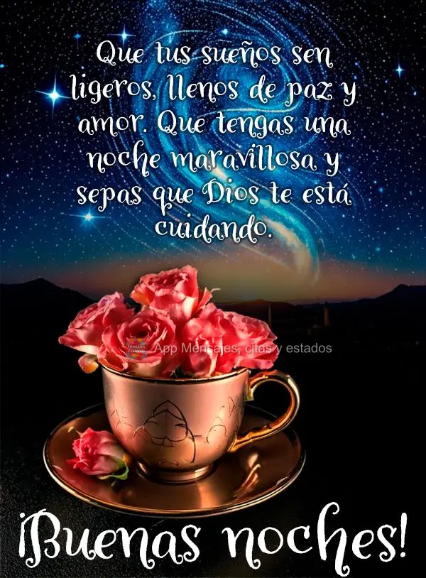 Que os seus sonhos sejam leves, repletos de paz e amor. Tenha uma noite maravilhosa e saiba que Deus está cuidando de você!  Boa noite!