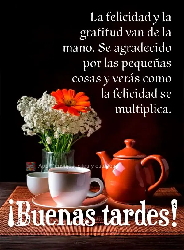 A felicidade e a gratidão andam de mãos dadas. Seja grato pelas pequenas coisas e veja como a felicidade se multiplica. Boa tarde!