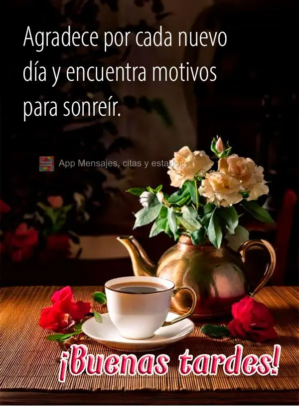 Agradeça por cada novo dia e encontre motivos para sorrir. Boa tarde!