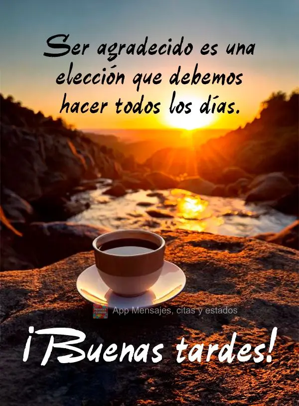 Ser grato é uma escolha que devemos fazer todos os dias.  Boa tarde!