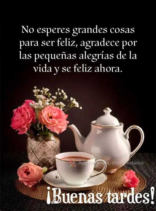 Não espere grandes coisas para ser feliz, agradeça pelas pequenas alegrias da vida e seja feliz agora. Boa tarde!