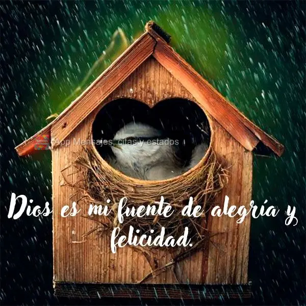 Deus é a minha fonte de alegria e felicidade.