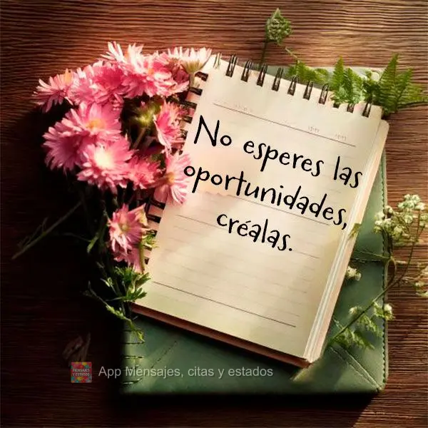 No esperes las oportunidades, créalas.