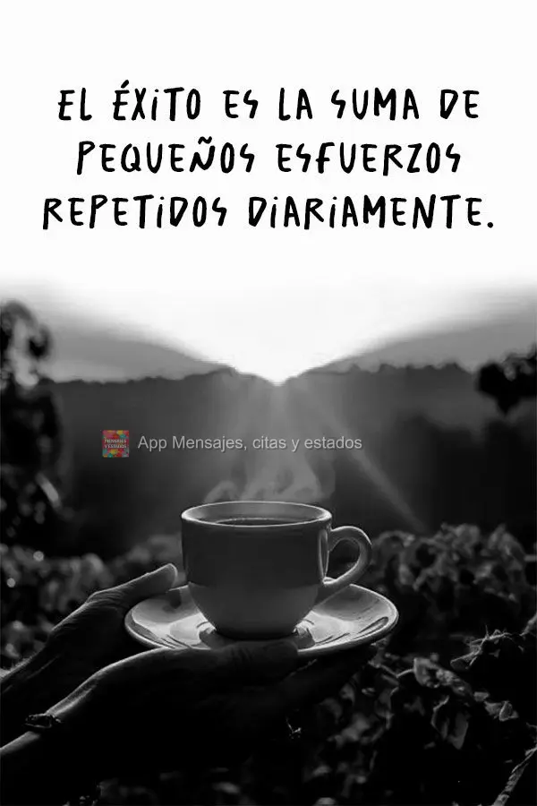O sucesso é a soma de pequenos esforços repetidos diariamente.