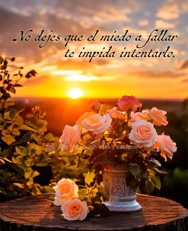 Não deixe que o medo de falhar te impeça de tentar.