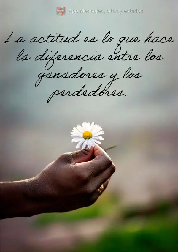 A atitude é o que diferencia os vencedores dos perdedores.