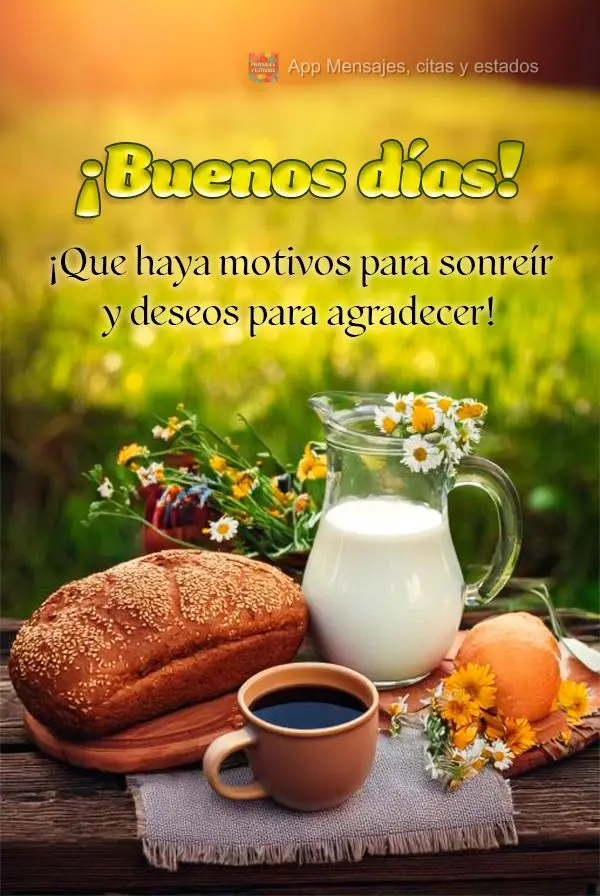 Que haja motivos para sorrir e o desejo de agradecer! Bom dia!