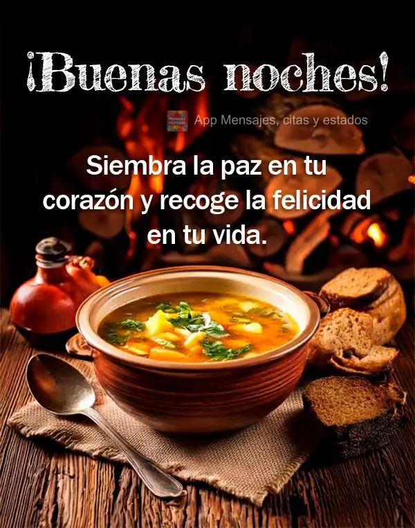 Semeie a paz em seu coração e colha a felicidade em sua vida. Boa noite!