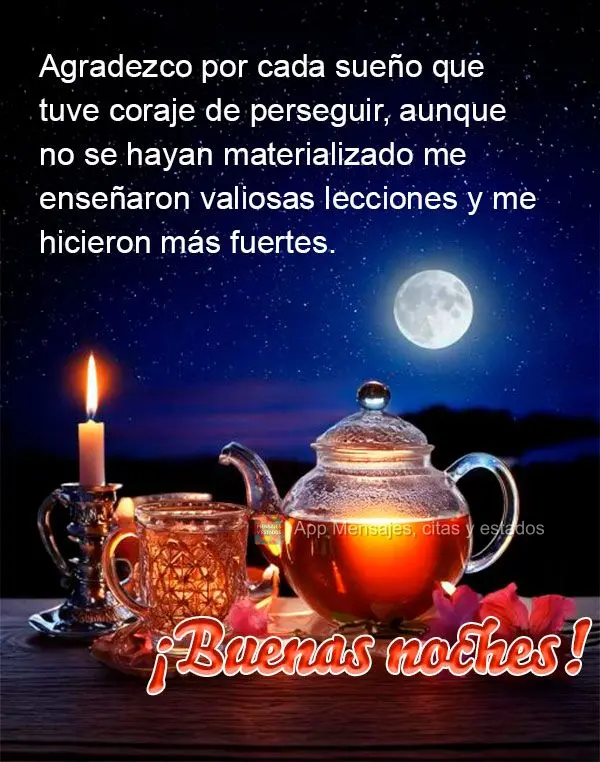 Agradeço por cada sonho que tive coragem de perseguir, pois mesmo que não tenham se concretizado, me ensinaram valiosas lições e me fizeram mais fort...