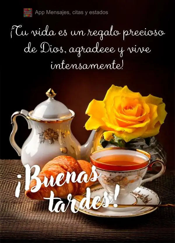 Sua vida é um presente precioso de Deus, agradeça e viva intensamente! Boa tarde!