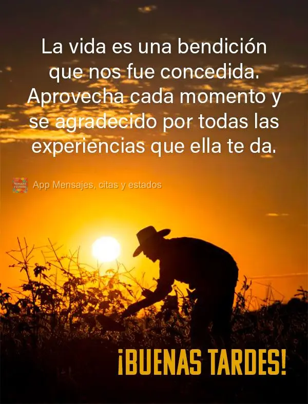 A vida é uma bênção preciosa que nos foi concedida. Aproveite cada momento e seja grato por todas as experiências que ela oferece. Boa tarde!