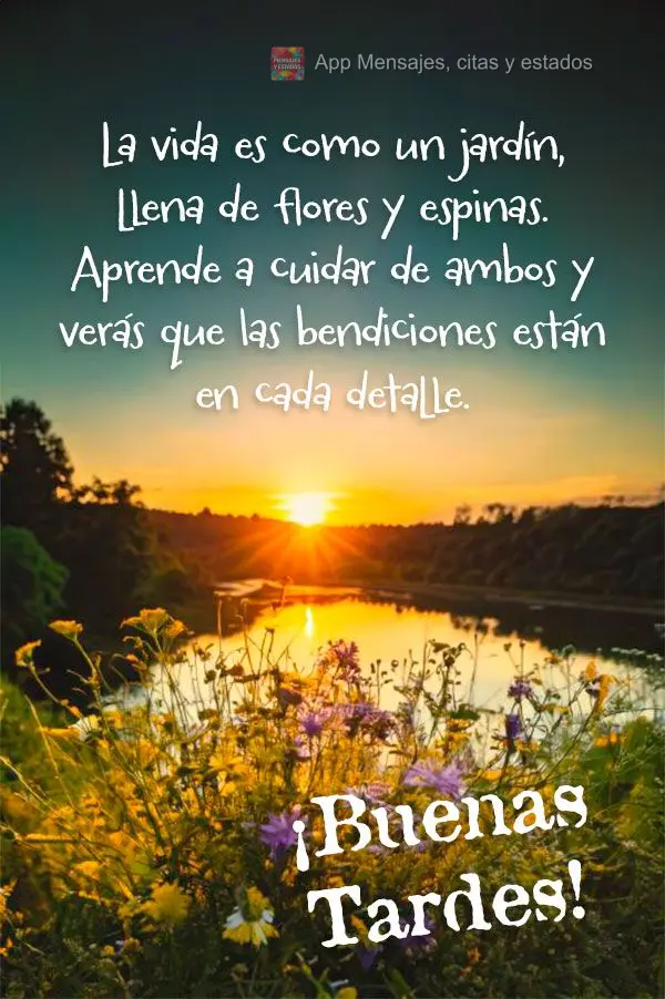 La vida es como un jardín, llena de flores y espinas. Aprende a cuidar de ambos y verás que las bendiciones están en cada detalle. ¡Buenas tardes!