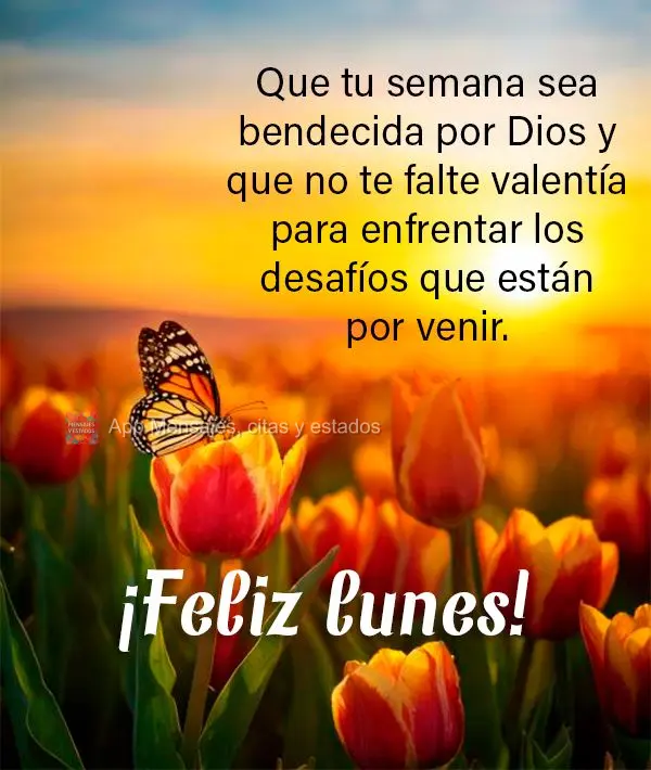 Que tu semana sea bendecida por Dios y que no te falte valentía para enfrentar los desafíos que están por venir. ¡Feliz lunes!