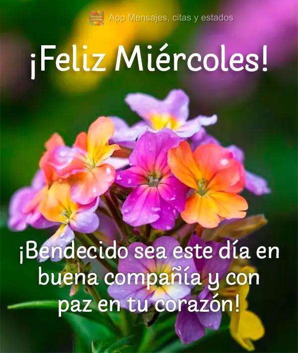 Abençoado seja este dia em boa companhia e com paz no coração! Boa Quarta!