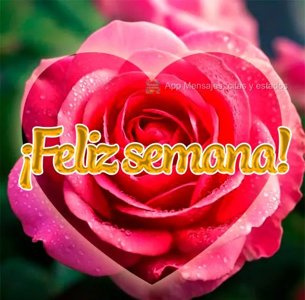 ¡Feliz semana!