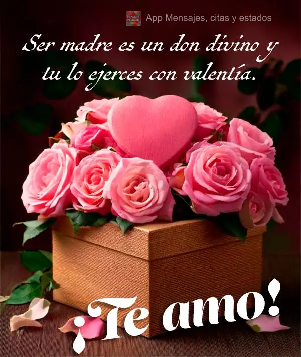 Ser madre es un don divino y tu lo ejerces con valentía. ¡Te amo!
