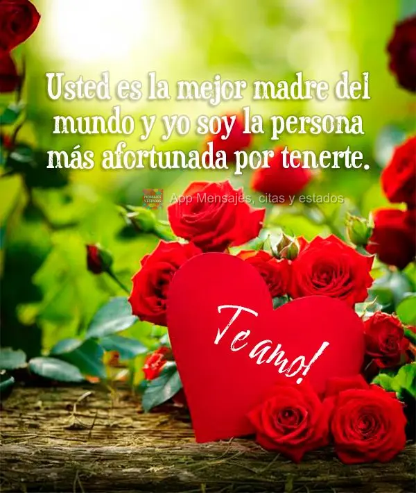 Usted es la mejor madre del mundo y yo soy la persona más afortunada por tenerte. ¡Te amo!