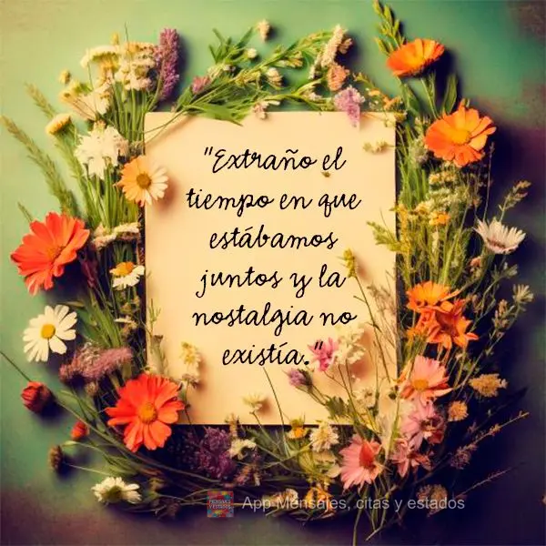 "Extraño el tiempo en que estábamos juntos y la nostalgia no existía." 