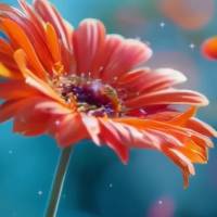 Que Deus permita uma jornada onde seus passo sejam guiados sempre pela sua sabedoria e orientação. Que a fé renove as suas esperanças e não deixe na...