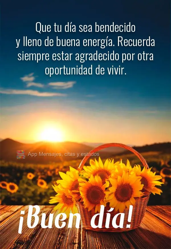 Que tu día sea bendecido y lleno de buena energía. Recuerda siempre estar agradecido por otra oportunidad de vivir. ¡Buen día!