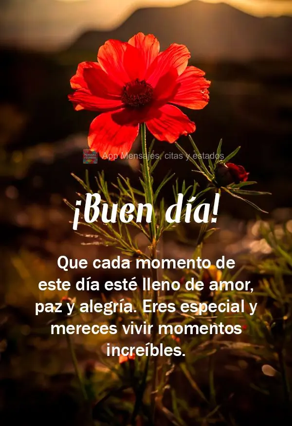 Que cada momento deste dia seja repleto de amor, paz e alegria. Você é especial e merece viver momentos incríveis. Bom dia!