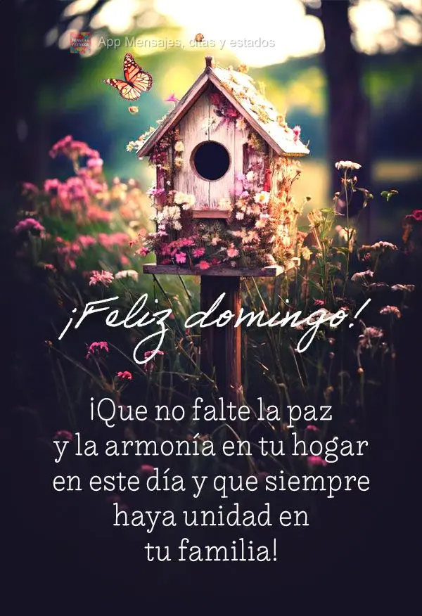 ¡Que no falte la paz y la armonía en tu hogar en este día y que siempre haya unidad en tu familia! ¡Feliz domingo!