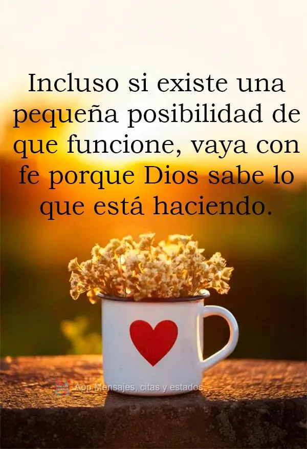 Incluso si existe una pequeña posibilidad de que funcione, vaya con fe porque Dios sabe lo que está haciendo.