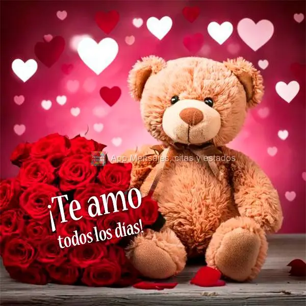 Eu te amo todos os dias!