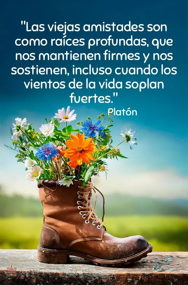 "Las viejas amistades son como raíces profundas, que nos mantienen firmes y nos sostienen, incluso cuando los vientos de la vida soplan fuertes." Plató...
