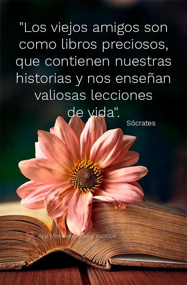 "Los viejos amigos son como libros preciosos, que contienen nuestras historias y nos enseñan valiosas lecciones de vida". Sócrates