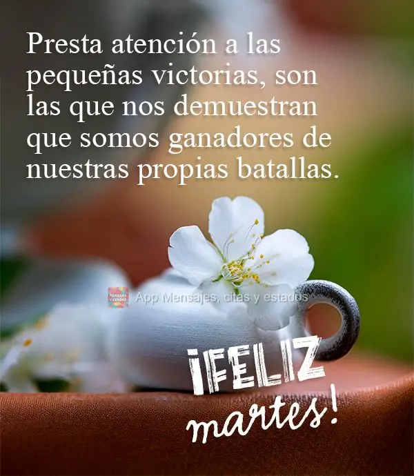 Atente-se às pequenas vitórias, são elas que nos mostra que somos vencedores de nossas próprias batalhas. Feliz Terça-feira!