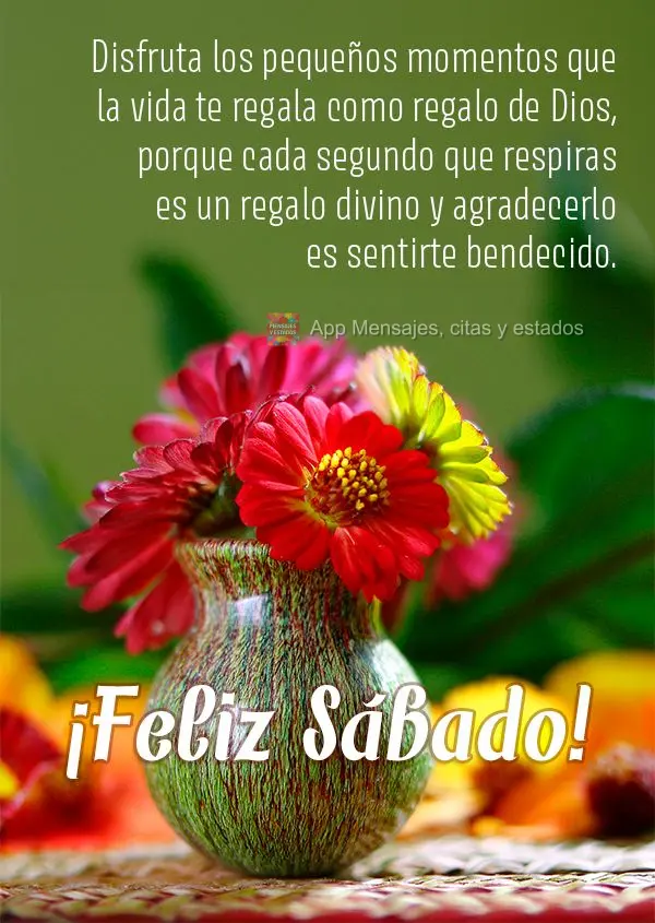 Disfruta los pequeños momentos que la vida te regala como regalo de Dios, porque cada segundo que respiras es un regalo divino y agradecerlo es sentirte...