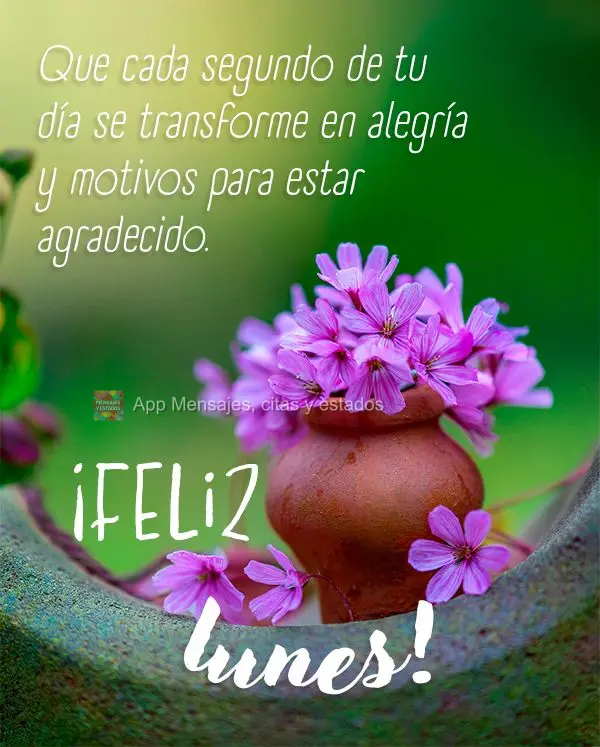 Que cada segundo do seu dia se transforme em alegria e motivos para agradecer.  Feliz Segunda-feira!