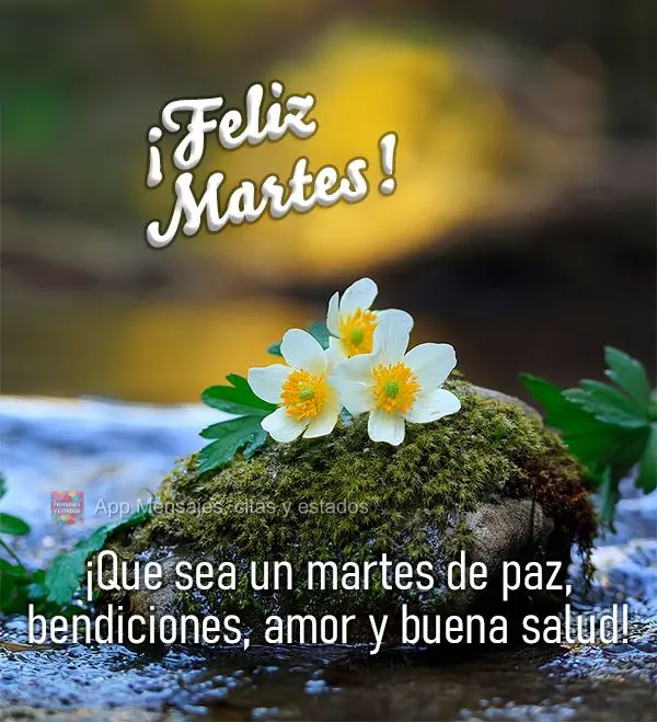 ¡Que sea un martes de paz, bendiciones, amor y buena salud! ¡Feliz martes!