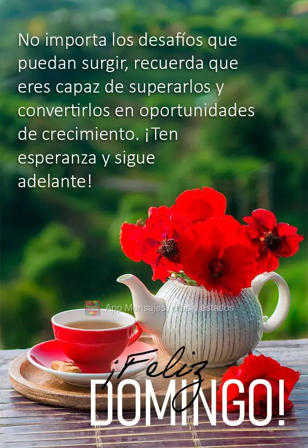 No importa los desafíos que puedan surgir, recuerda que eres capaz de superarlos y convertirlos en oportunidades de crecimiento. ¡Ten esperanza y sigue...