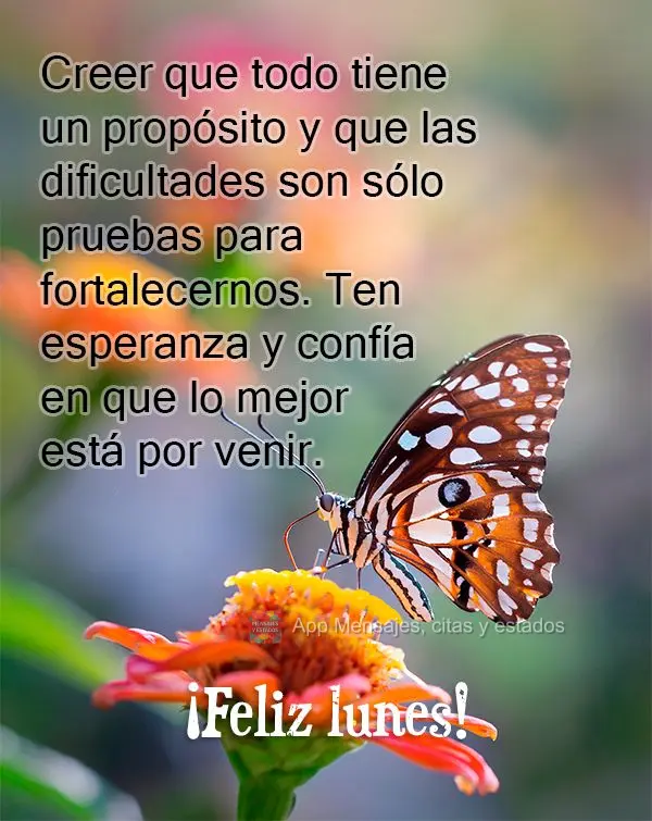 Creer que todo tiene un propósito y que las dificultades son sólo pruebas para fortalecernos. Ten esperanza y confía en que lo mejor está por venir. ...