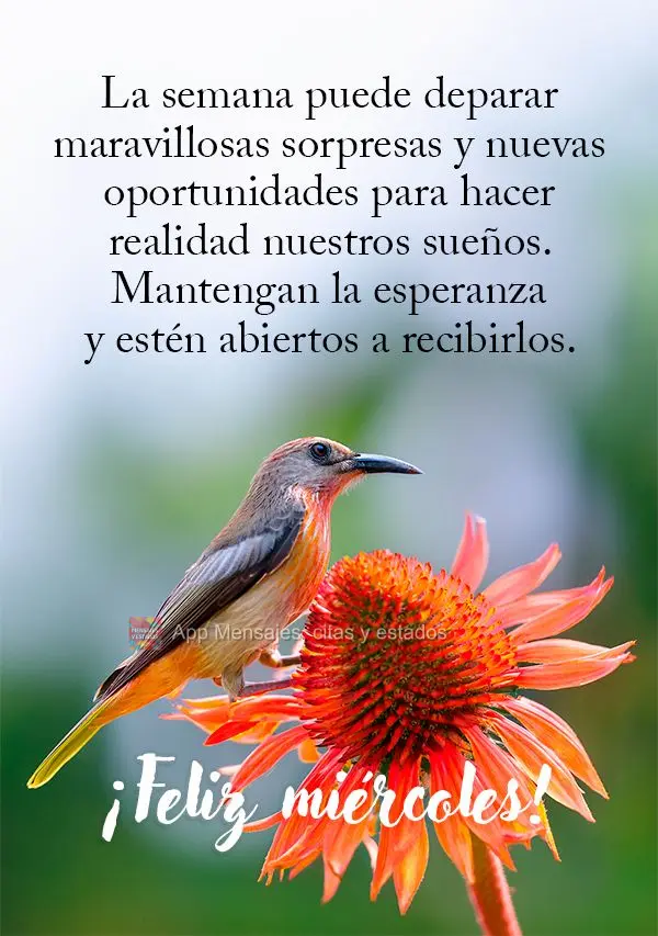 La semana puede deparar maravillosas sorpresas y nuevas oportunidades para hacer realidad nuestros sueños. Mantengan la esperanza y estén abiertos a re...